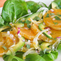 Orange Avocado Fennel Salad